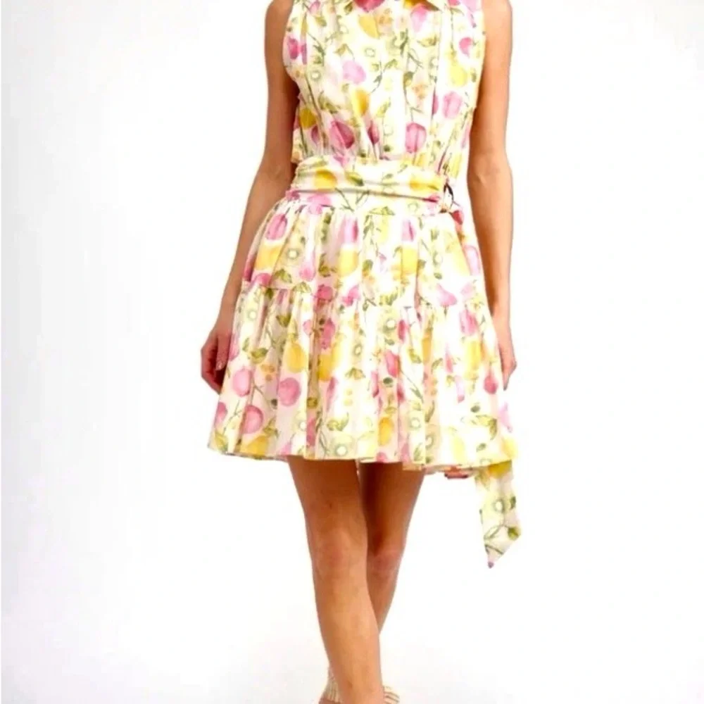 NWT-CYNTHIA ROWLEY LINEN BLEND FRUIT DRESS-sz 8 - Picture 4 of 11